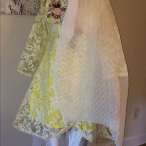 Indian/Pakistani Dress